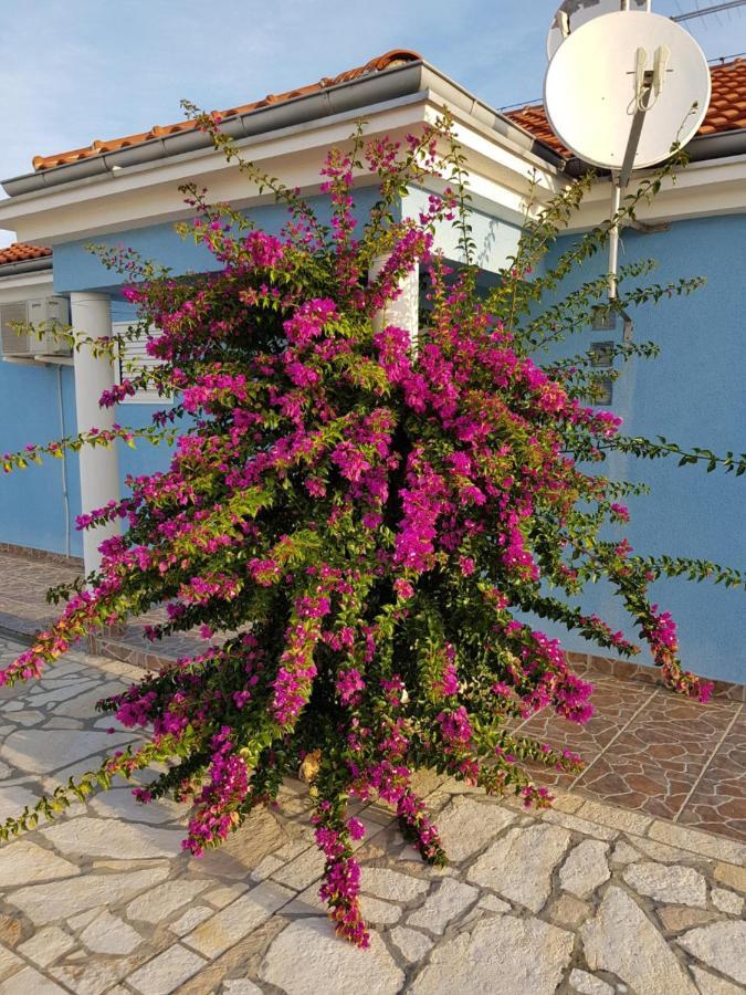 Holiday Home Ankica Ražanac Εξωτερικό φωτογραφία