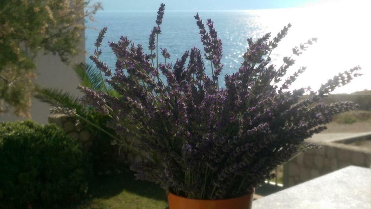 Holiday Home Ankica Ražanac Εξωτερικό φωτογραφία