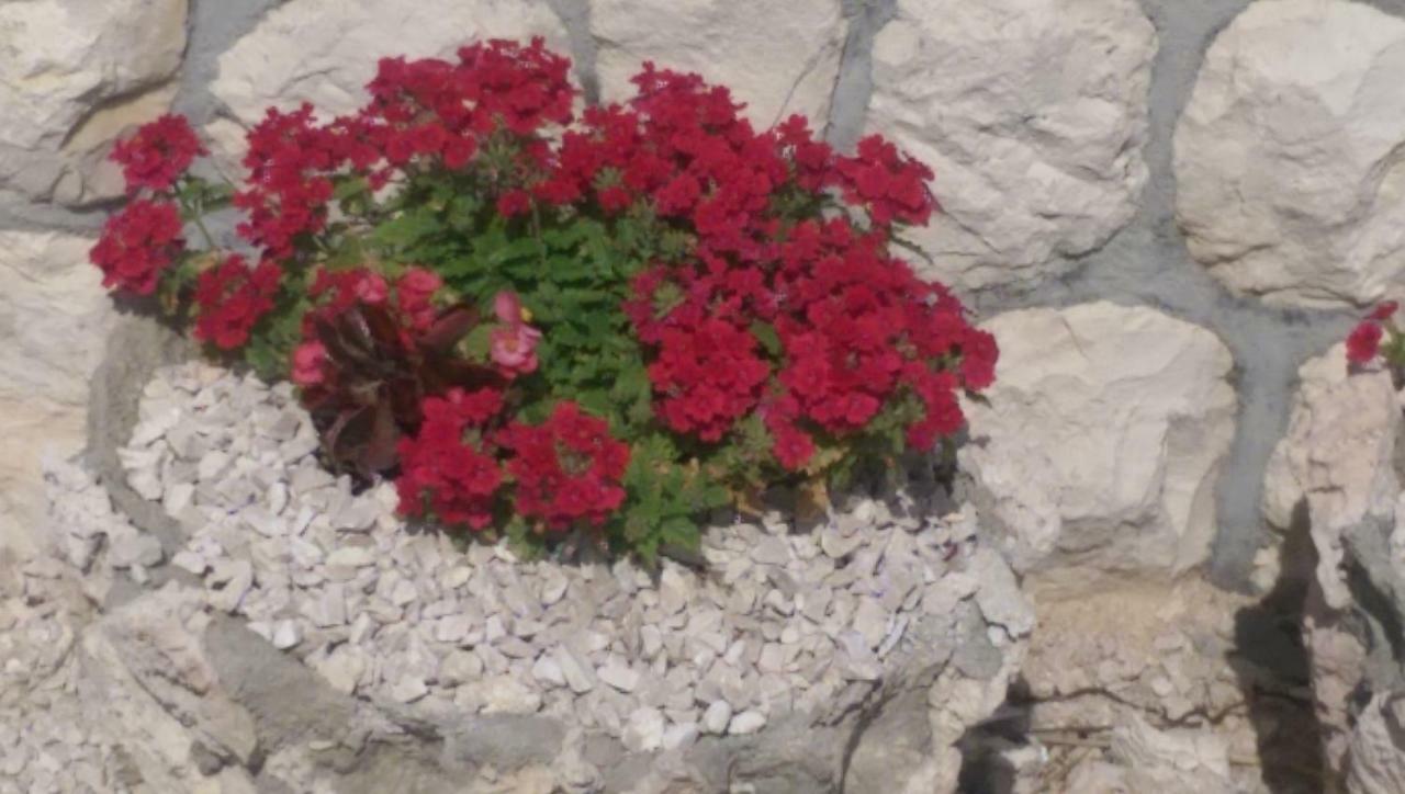 Holiday Home Ankica Ražanac Εξωτερικό φωτογραφία